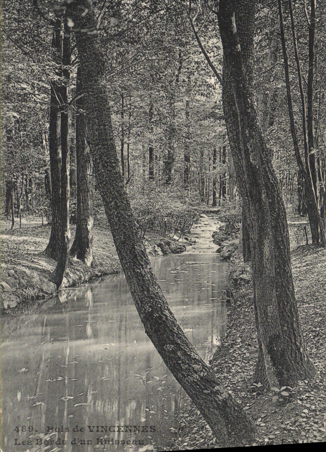 VINTAGE POSTCARD Wood of Vincennes Edges of a brook