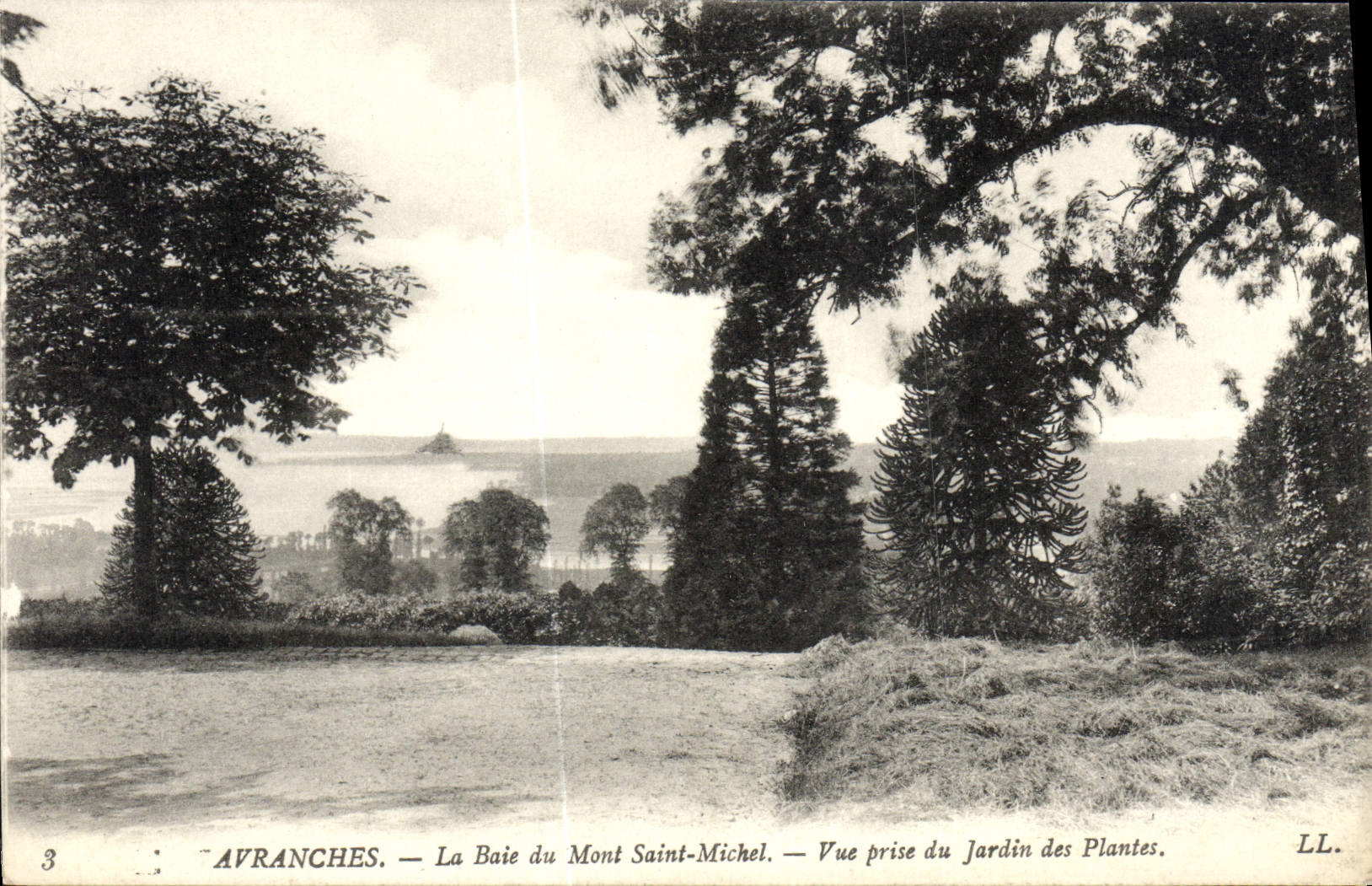 CPA Avranches La Baie du Mont Saint Michel Vue prise du jardin des plantes
