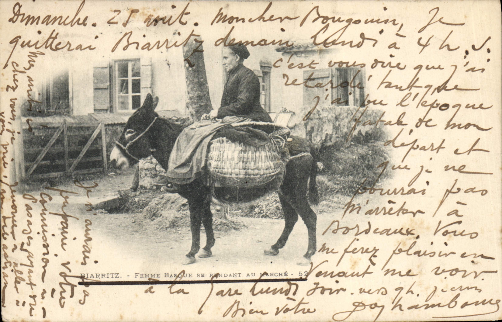 Vasco de la mujer de Biarritz de la POSTAL de la VENDIMIA que va a la TAPA de la mula del asno del mercado