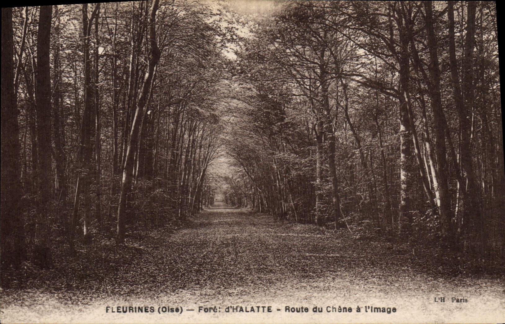 Camino de Halatte del d de Fleurines de la POSTAL de la VENDIMIA del roble a la imagen