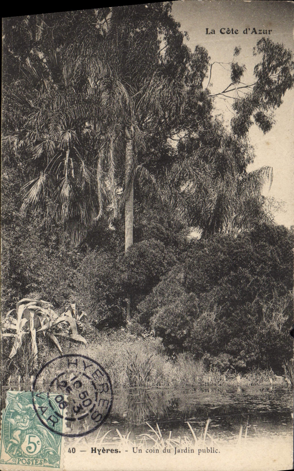 POSTAL Hyeres de la VENDIMIA una esquina del jardín público