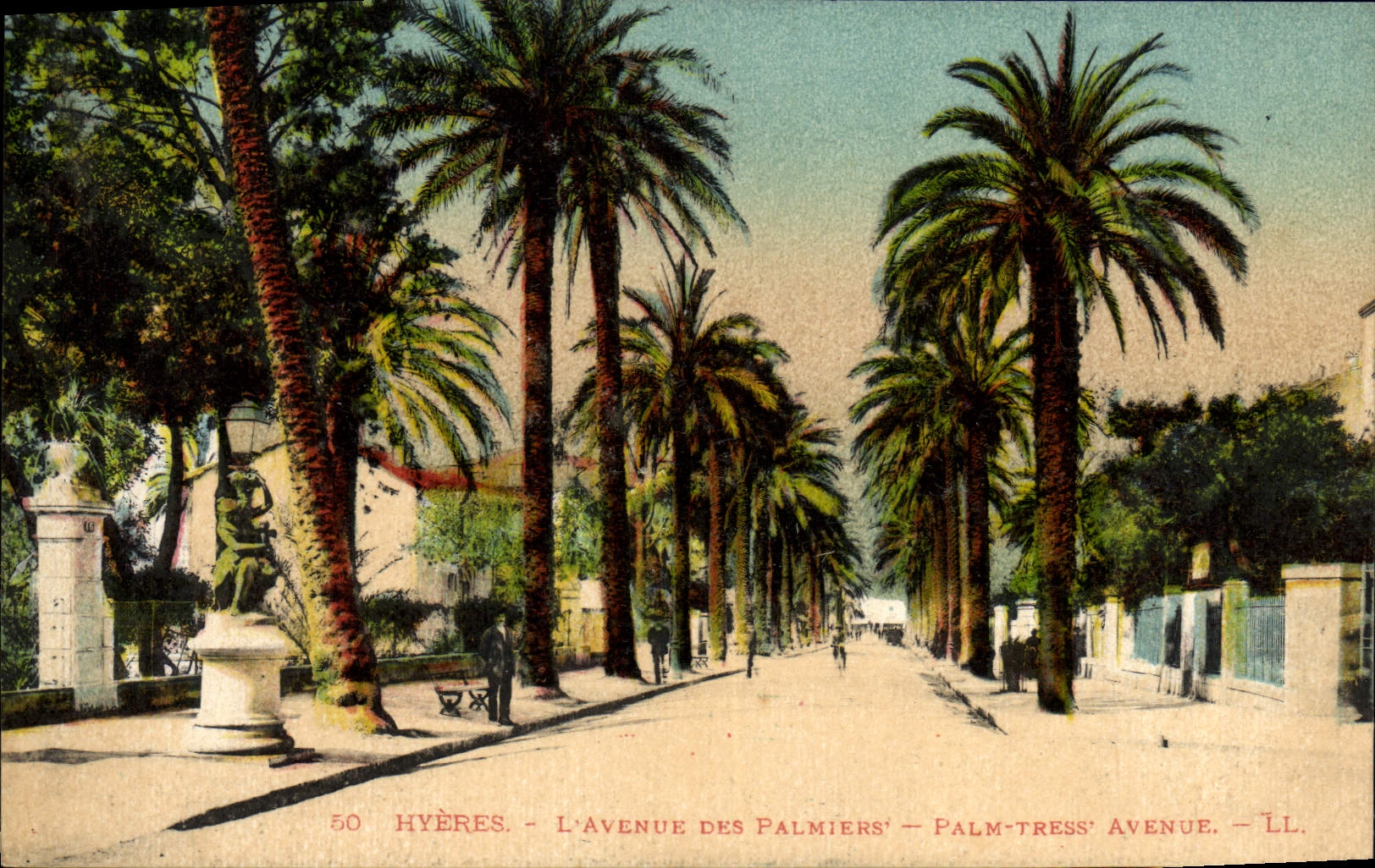 CPA Hyeres L'Avenue Des Palmiers