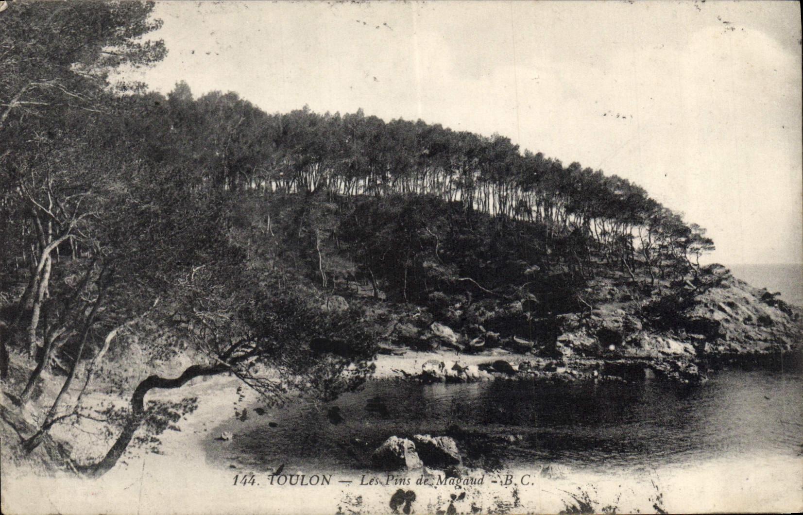 VINTAGE POSTCARD Toulon Pines of Magaud