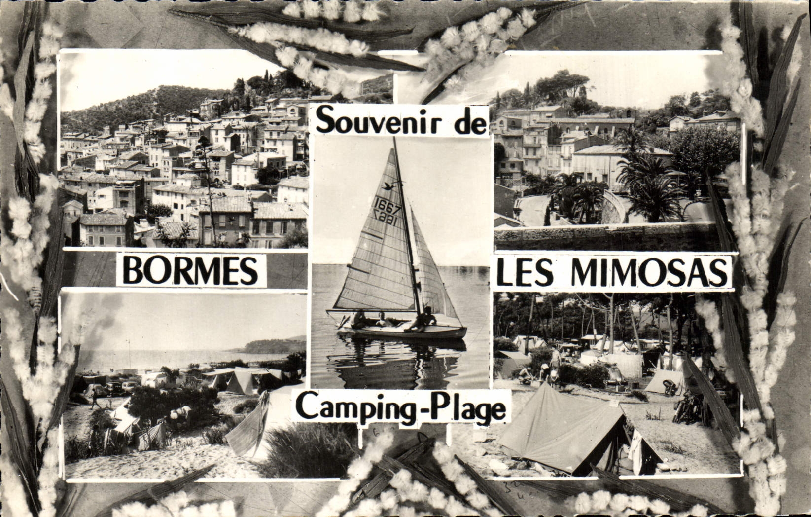 CPM Bormes Les Mimosas Camping Plage