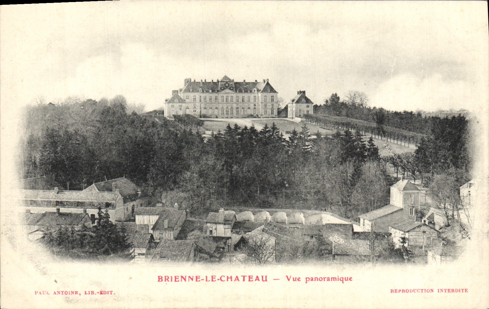 VINTAGE POSTCARD Brienne the Castle Panoramic View