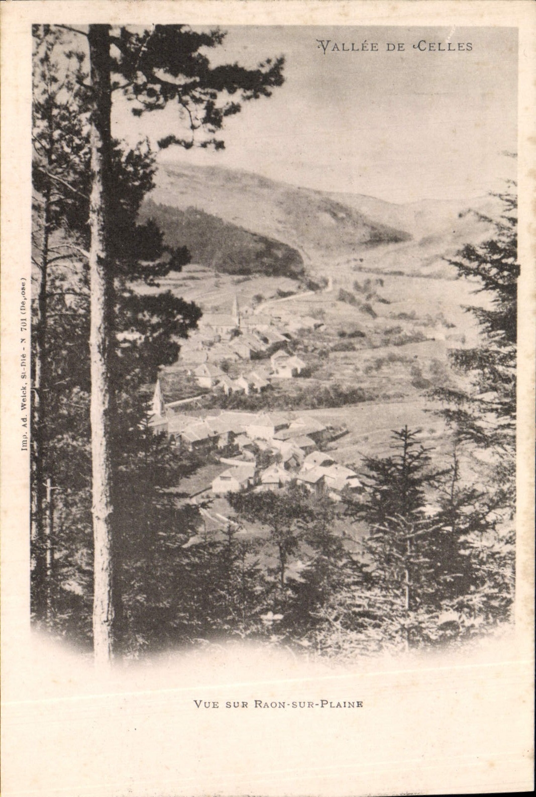 CPA Vallee De Celles Vue Sur Raon Sur Plaine