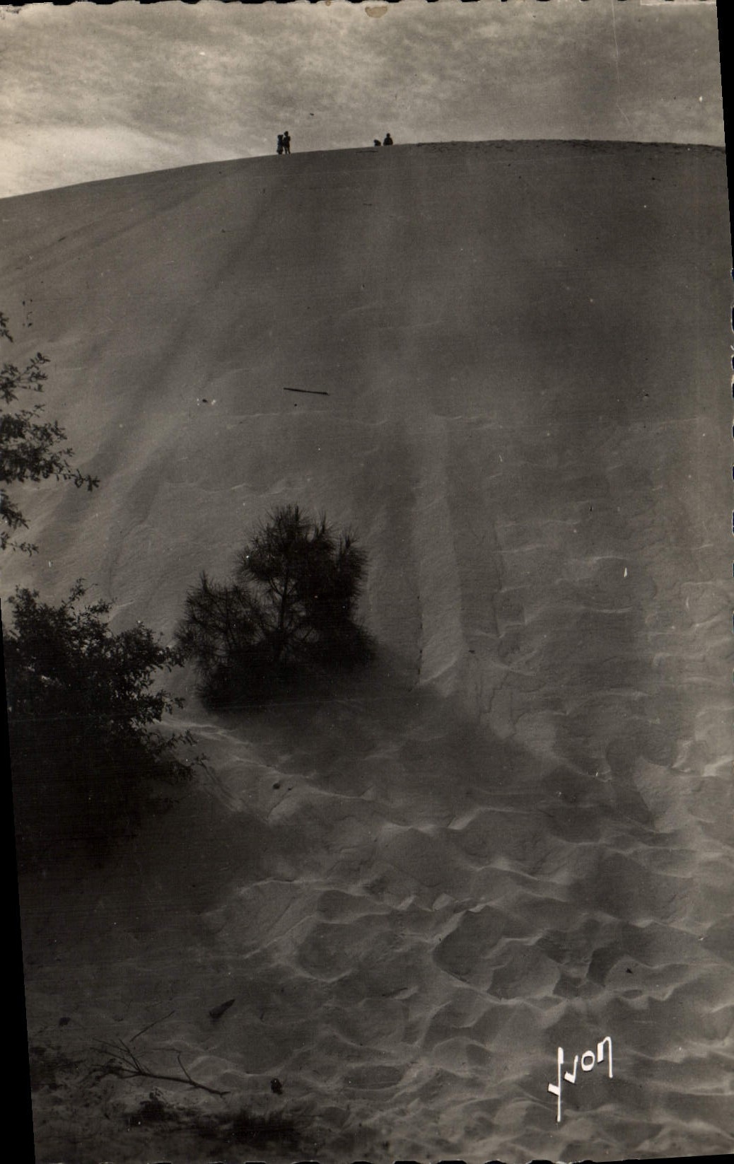 CPM Bassin D'Arcachon Les Grandes Dunes Du Pyla
