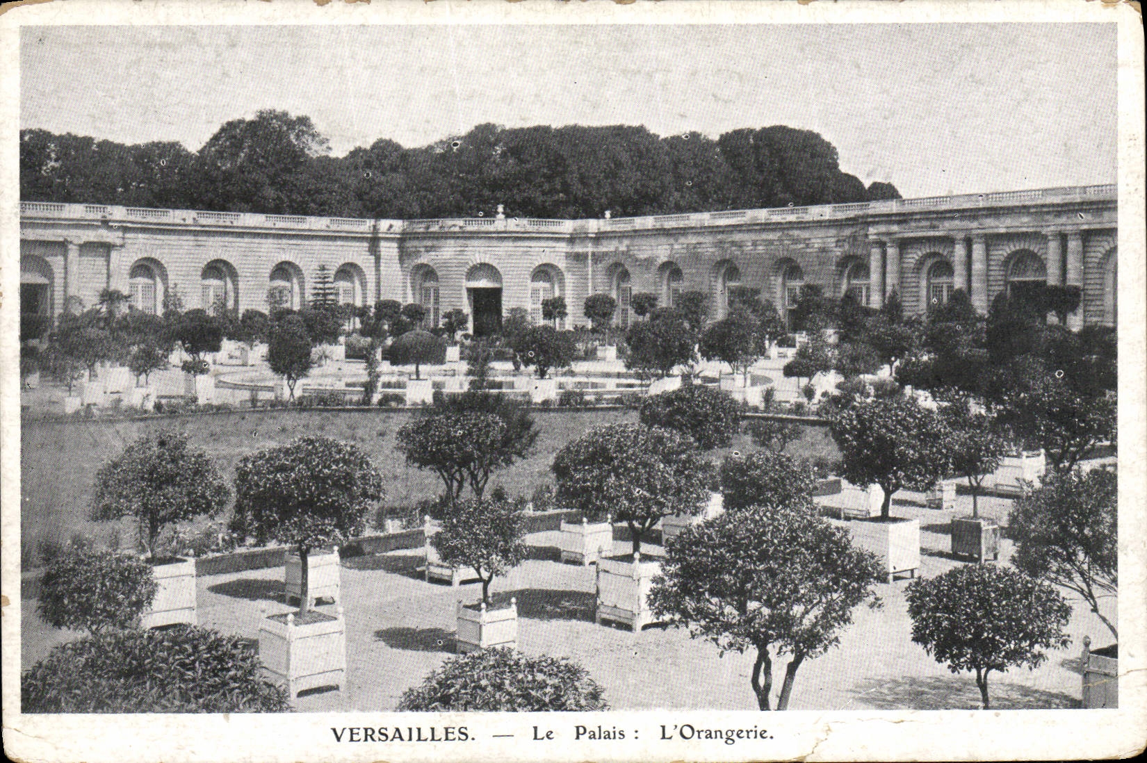 CPA Versailles Le Palais L'Orangerie