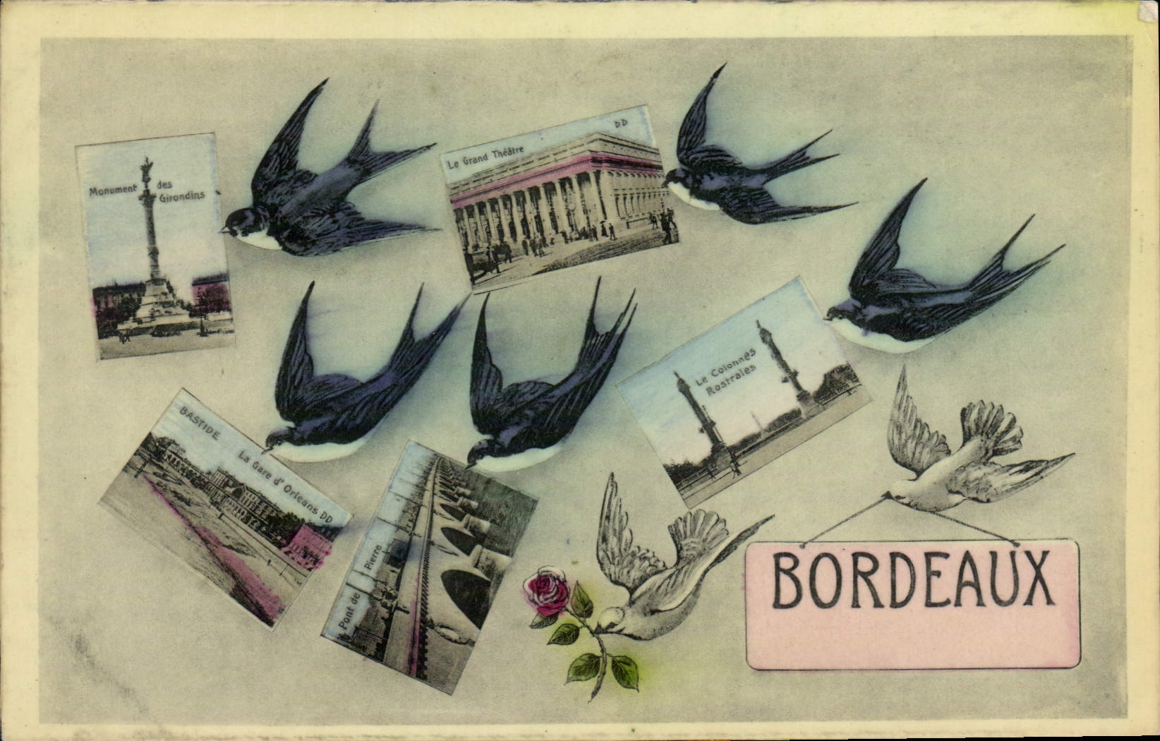 CPA Bordeaux Hirondelles