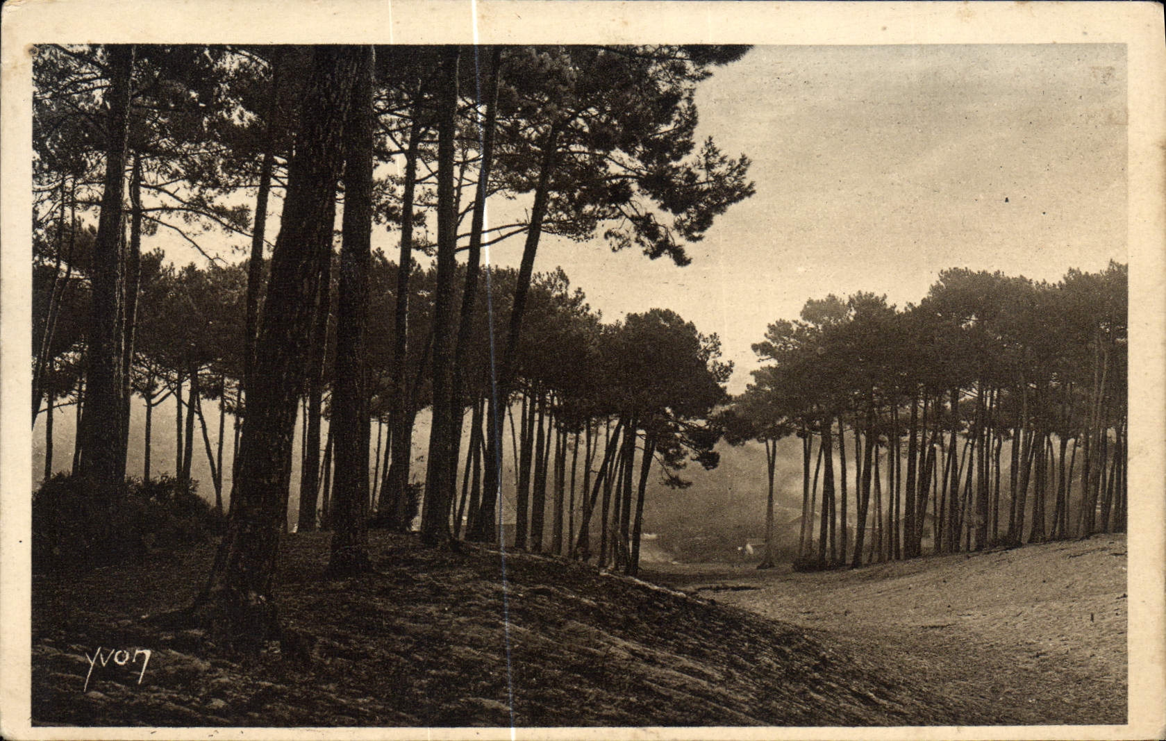 CPA Arcachon Les grandes dunes de la ville d'hiver