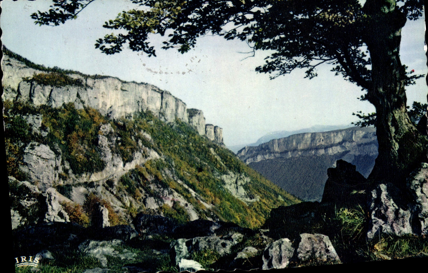 MODERN CARD Combe Laval the circus