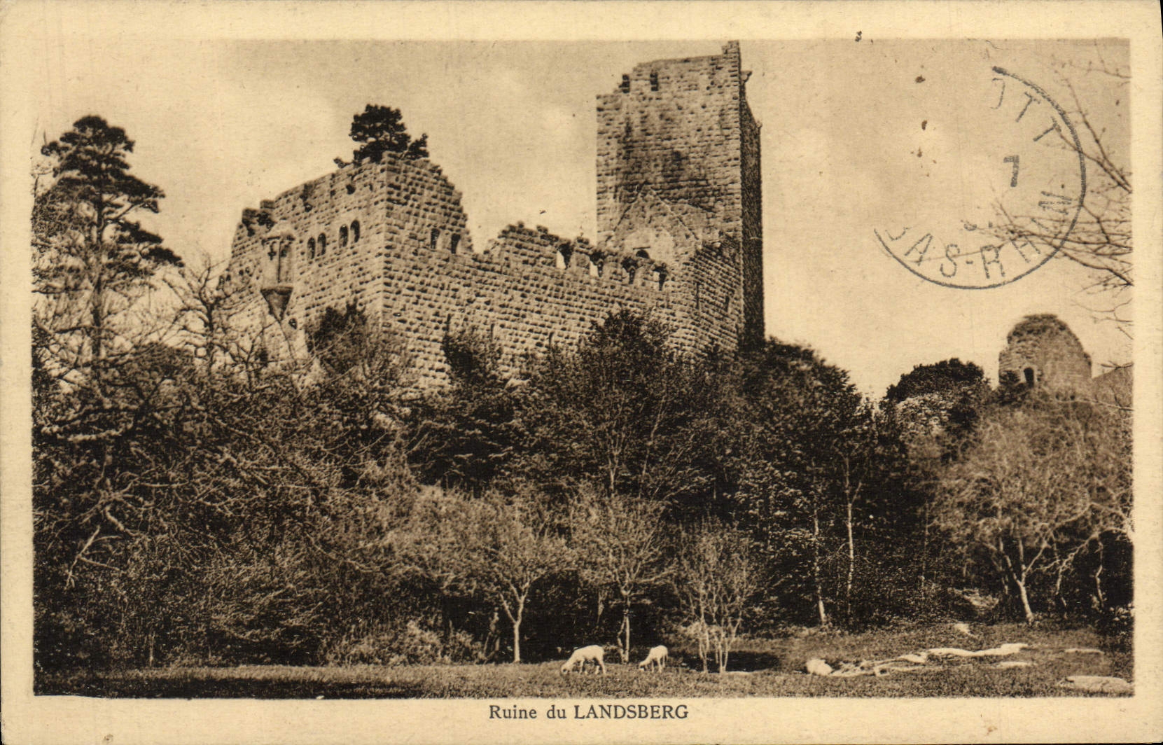 VINTAGE POSTCARD Ruin of Landsberg