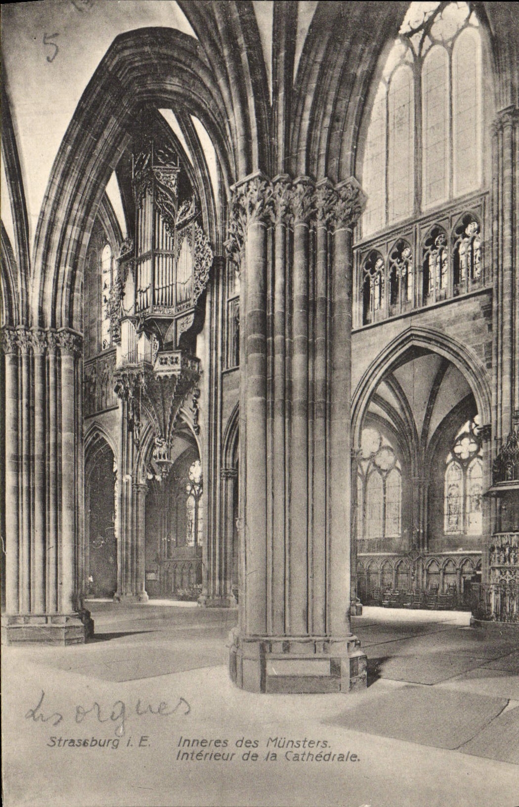 POSTAL Straseburg Inneres de la VENDIMIA del órgano de Munsters