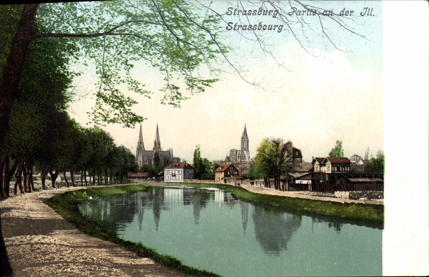 Enfermedad dejada Estrasburgo del der del año de la POSTAL de la VENDIMIA