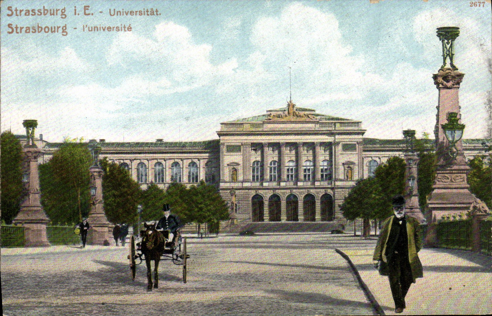 Coche del caballo del birlocho de la universidad de Estrasburgo de la POSTAL de la VENDIMIA