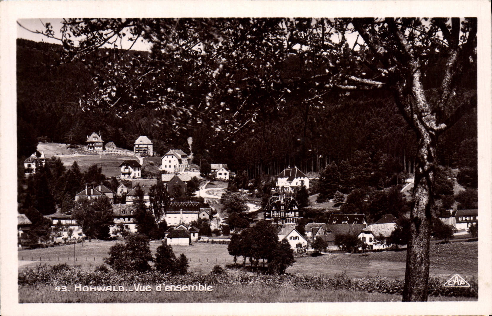 VINTAGE POSTCARD Hohwald Overall picture
