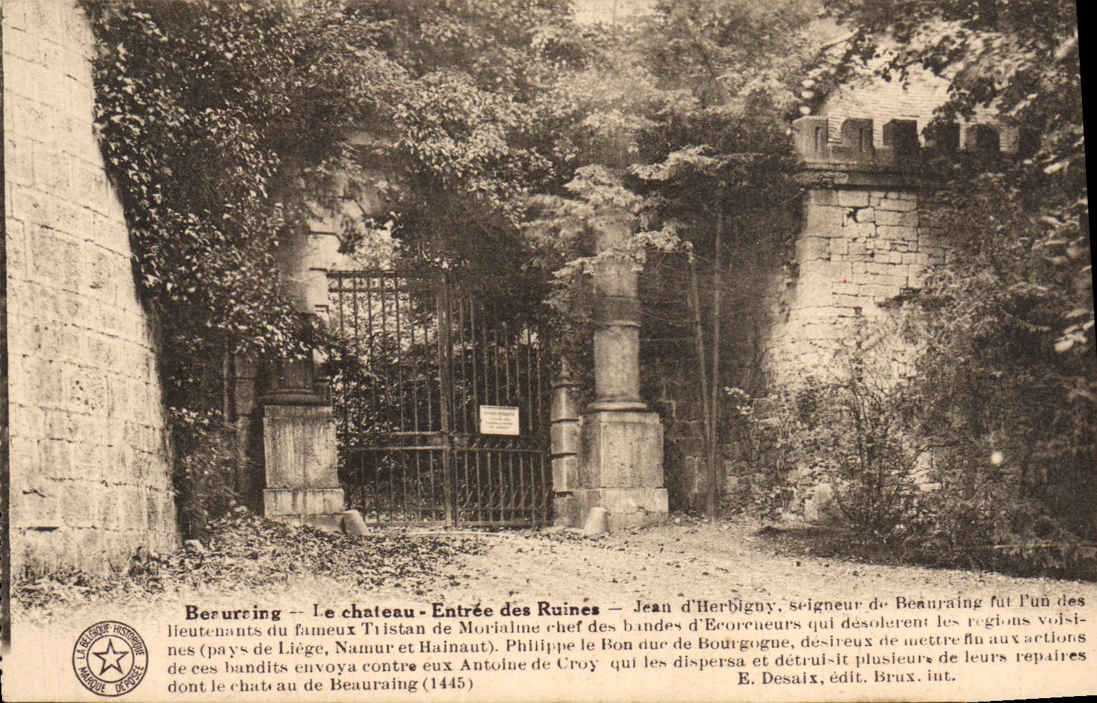 VINTAGE POSTCARD Beauraing the Castle Entered of the Ruins