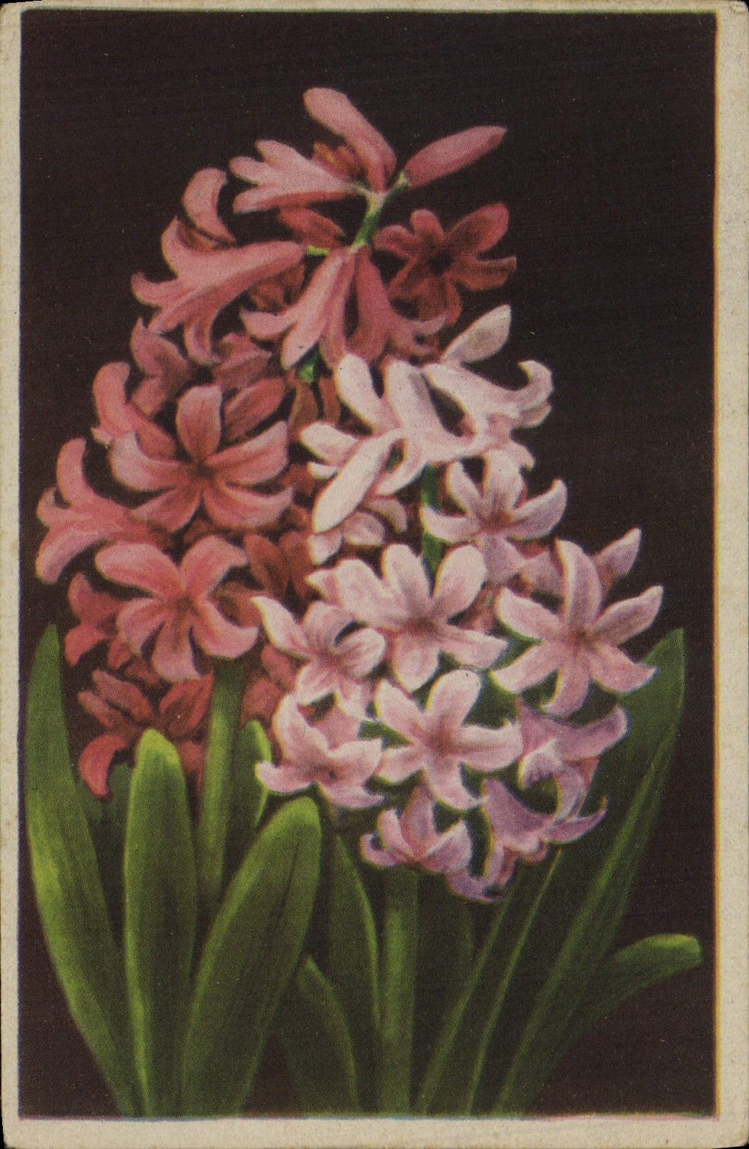 CPA Fantaisie Fleurs