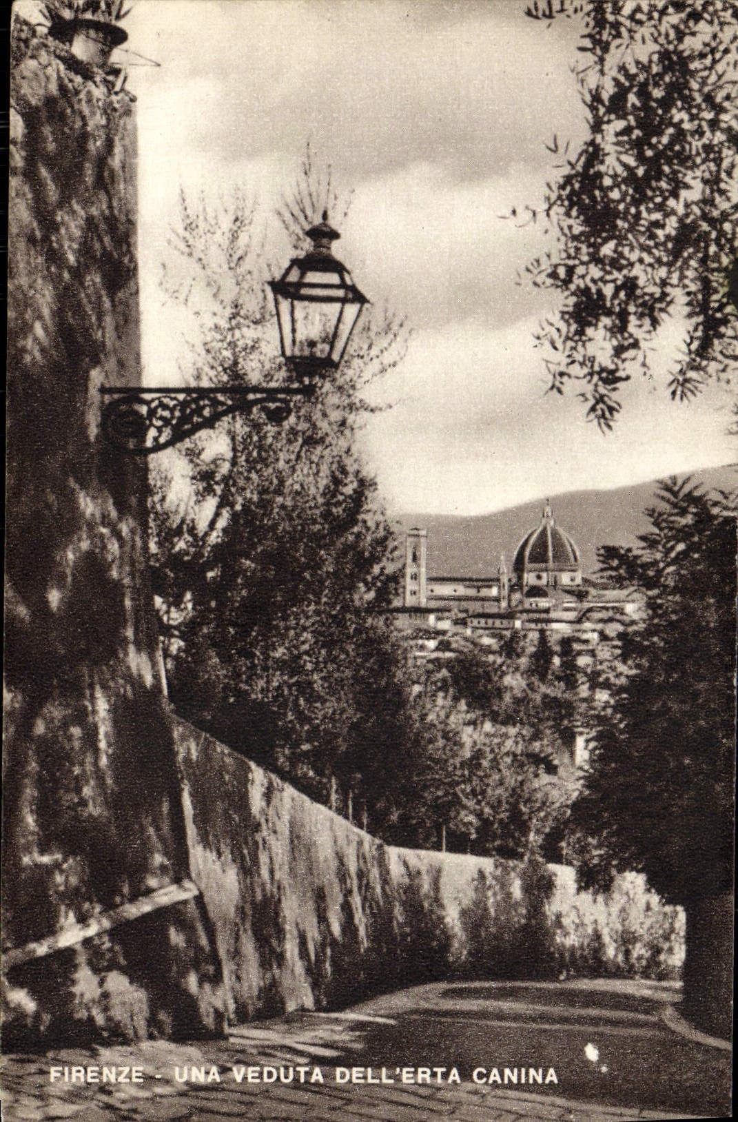 VINTAGE POSTCARD Firenze Una Veduta Dell' erta Canina