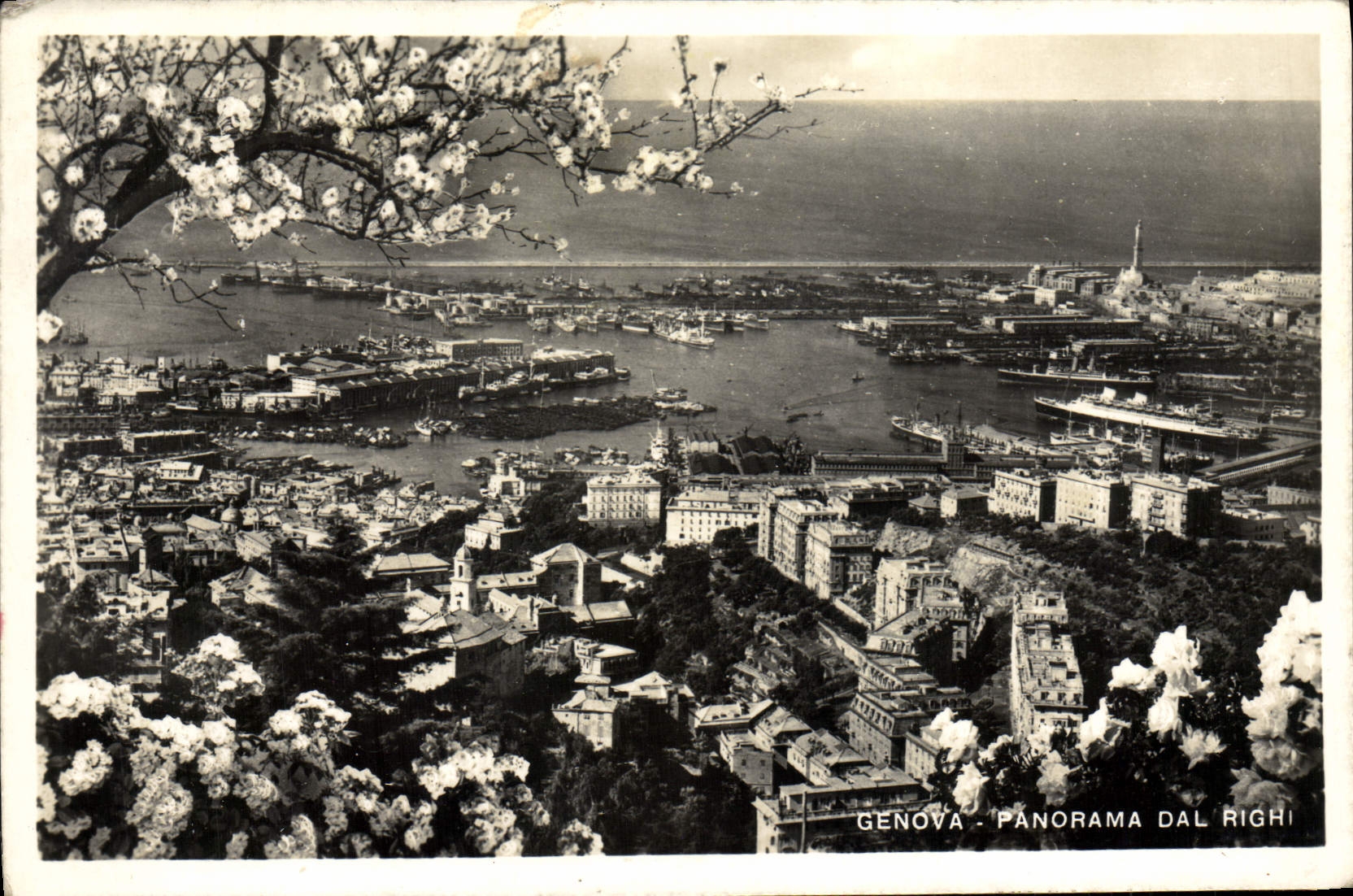 CPM Genova Panorama dal Righi