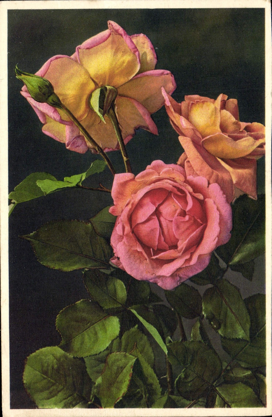 CPA Fantaisie Fleurs Roses