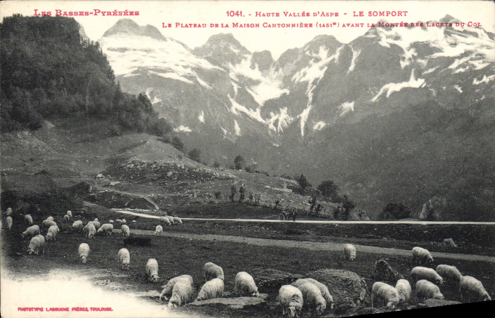 Valle de la POSTAL de la VENDIMIA alto de la devanadera Somport la placa del esquina-pedazo del metal de la casa antes de la subida de los cordones de las ovejas del collar