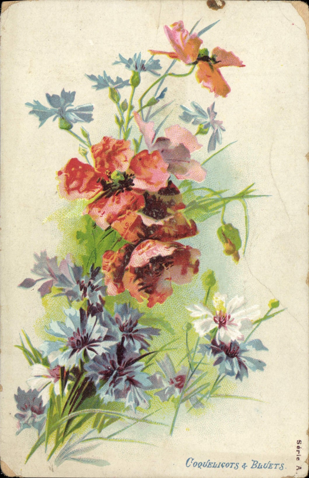 CPA Fantaisie Fleurs Coquelicots & bluets