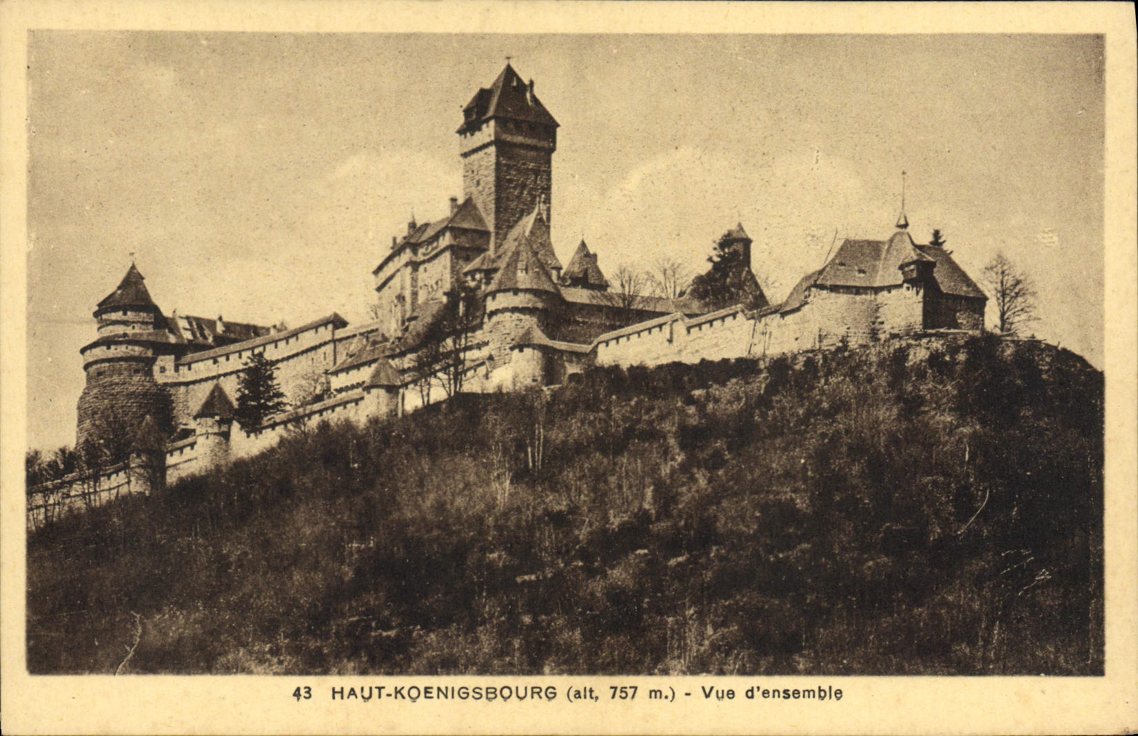 Cuadro total de Koenigsbourg de la POSTAL de la VENDIMIA alto