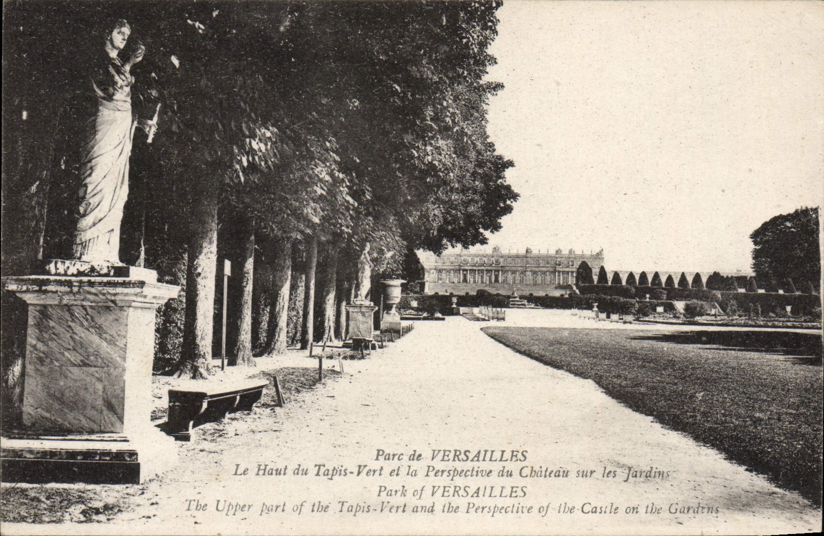 CPA Versailles Le Haut du tapis vert et la perspective du chateau sur les jardins 