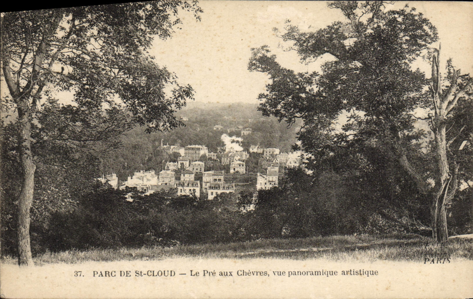 CPA Parc De St Cloud Le Pre Aux Chevres