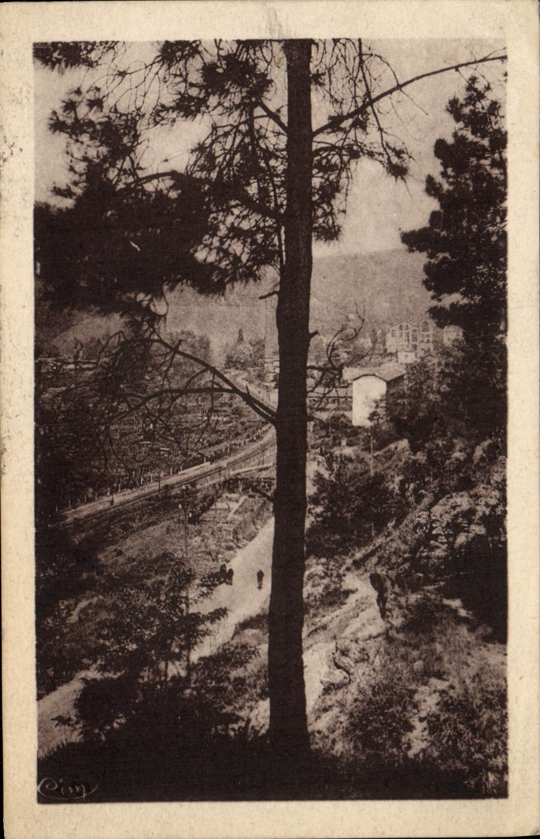 VINTAGE POSTCARD Trescol Large picturesque Combe Escaped on Trescol through the pines
