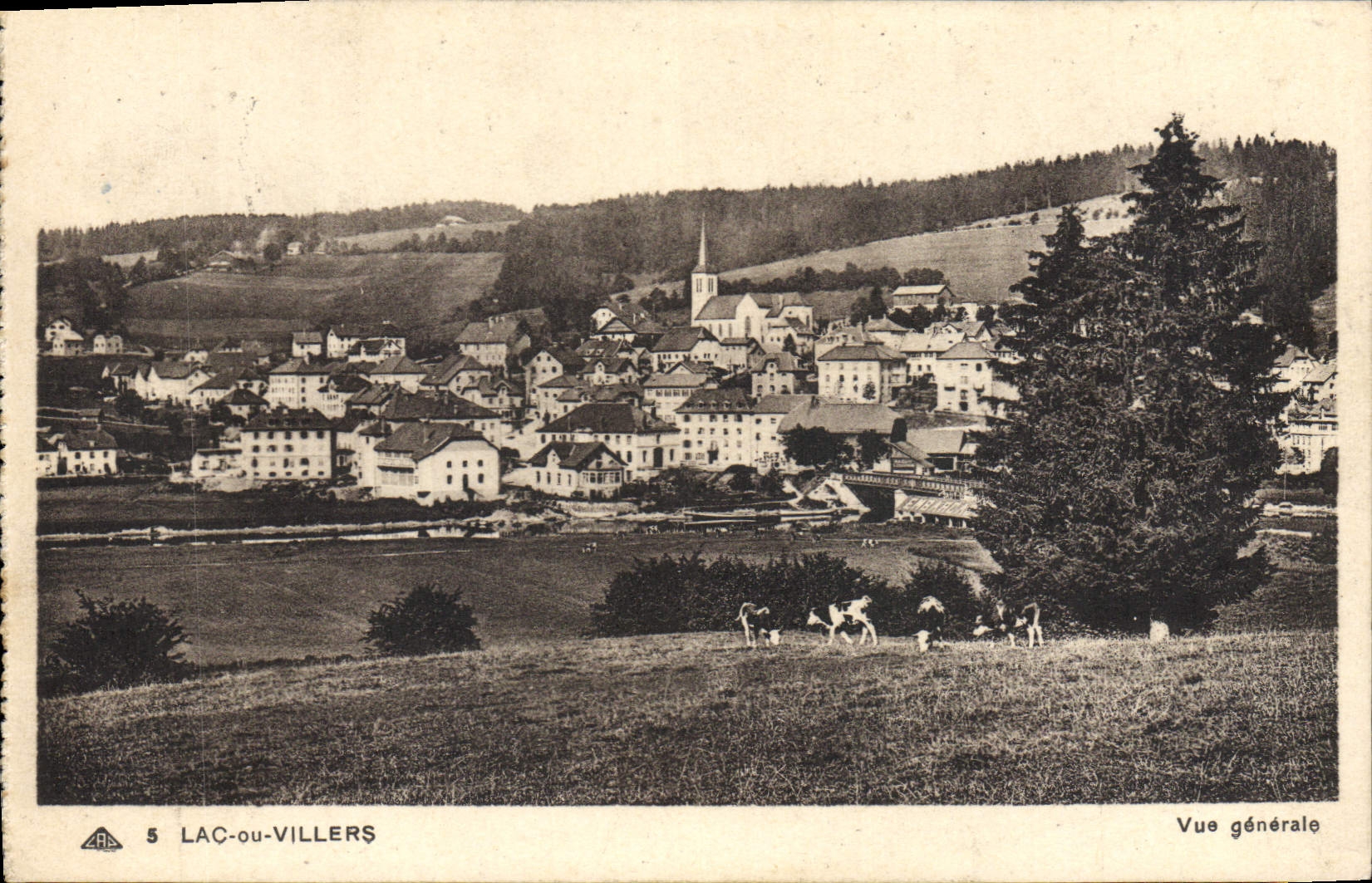 VINTAGE POSTCARD Lake Or Villers View Cows