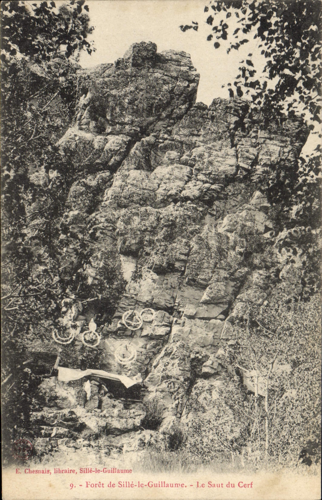 VINTAGE POSTCARD Drill of Sitte the Guillaume the Jump of the Stag