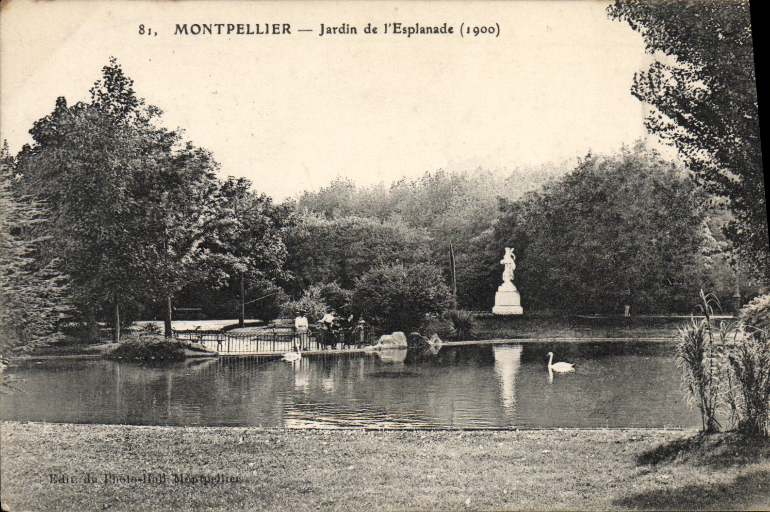 VINTAGE POSTCARD Montpellier Garden of the Esplanade