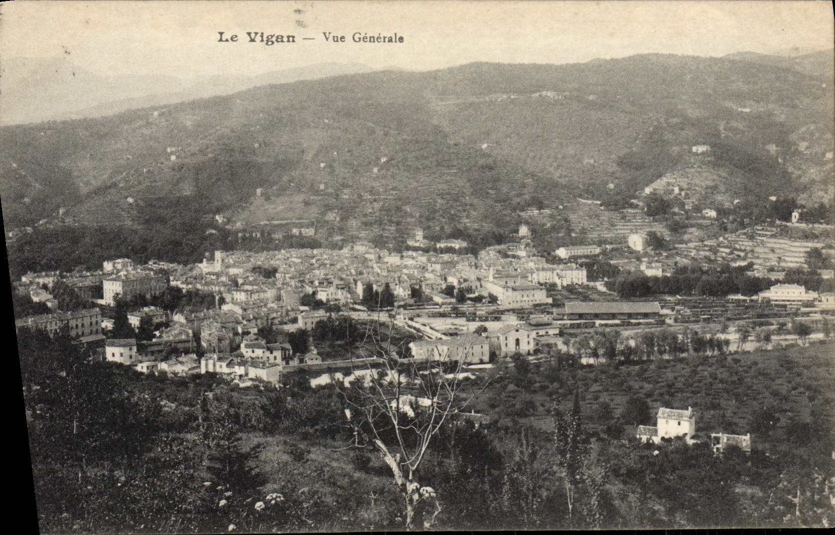 CPA Le Vigan Vue Generale