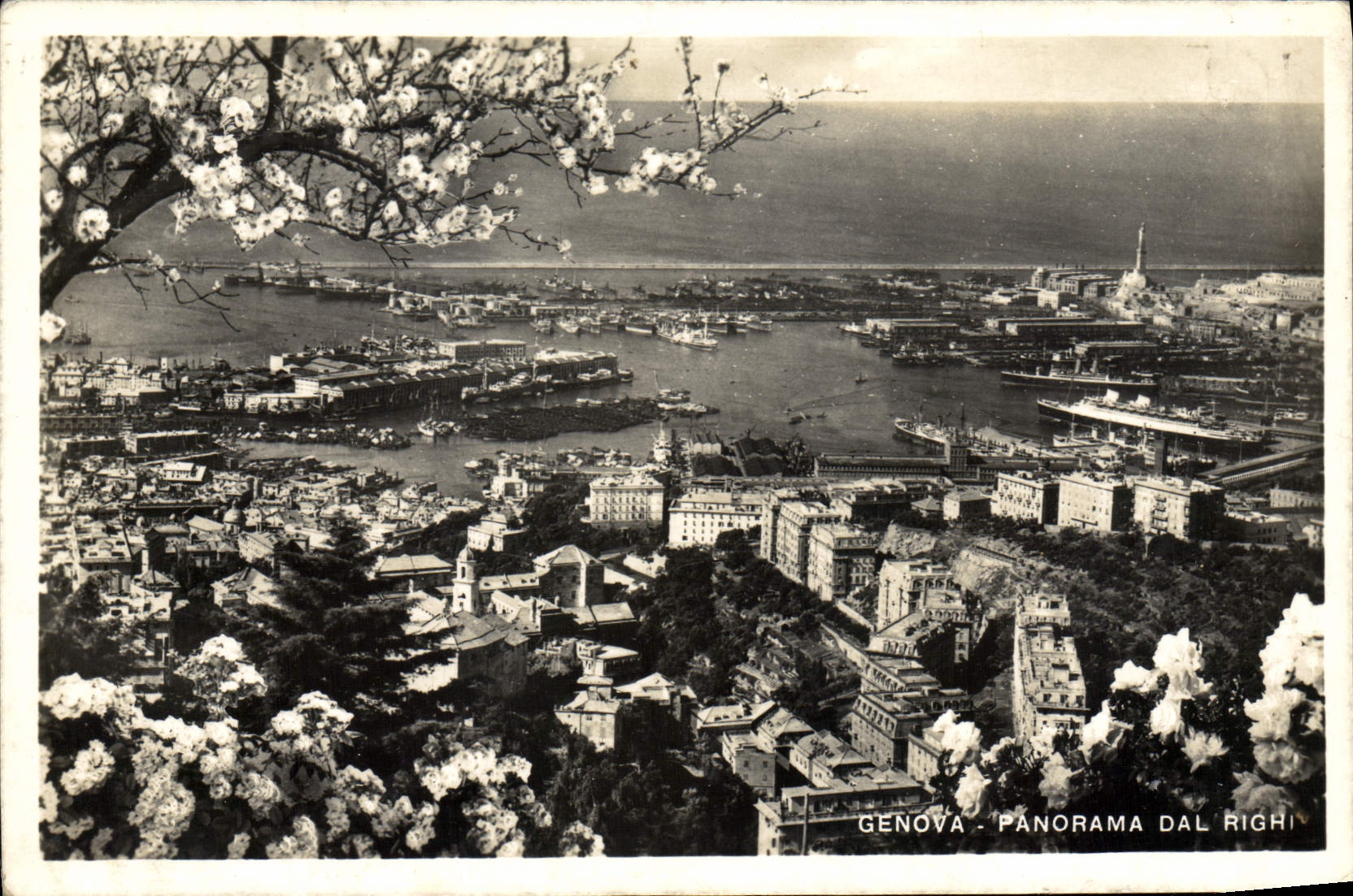 VINTAGE POSTCARD Genova Panorama Dal Righi Bateyaux