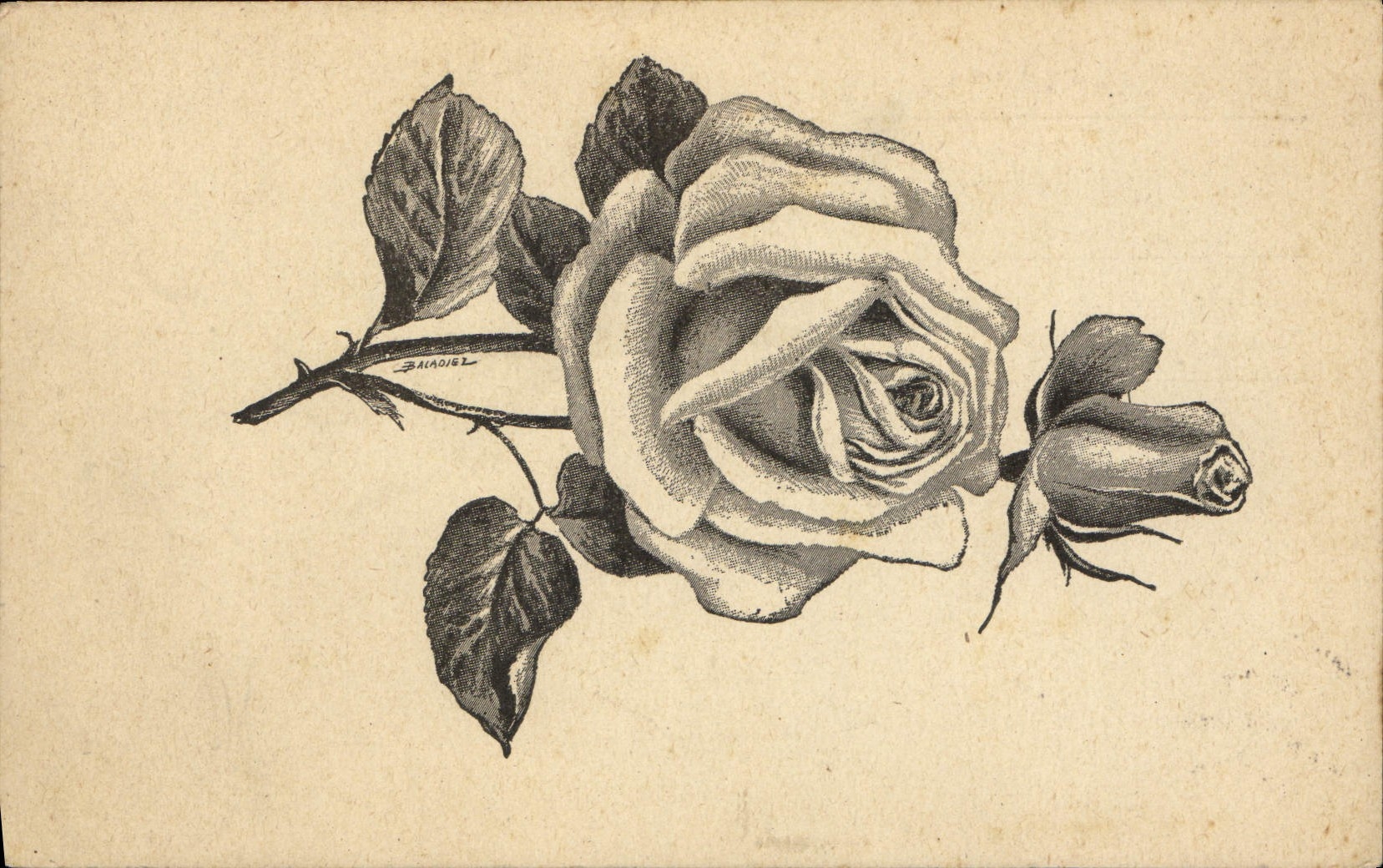 CPA Fantaisie Fleurs 