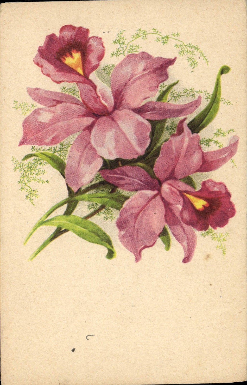 CPA Fantaisie Fleurs 