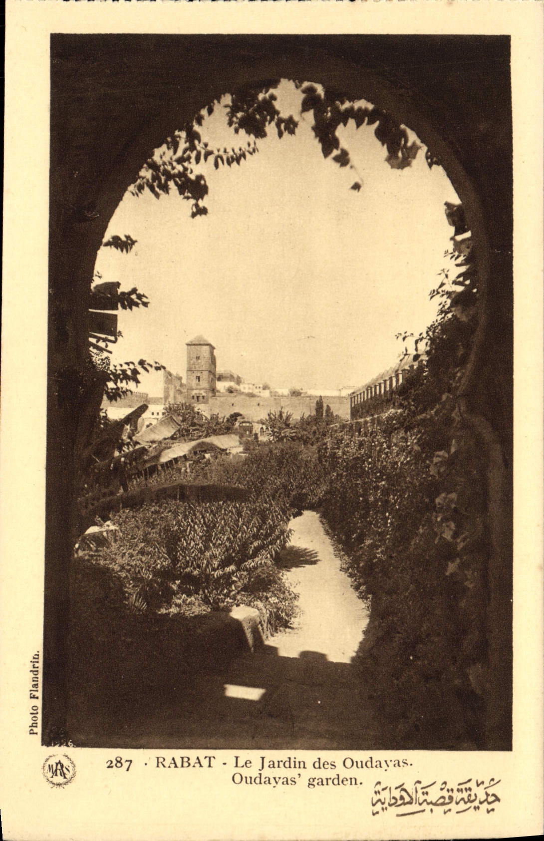 VINTAGE POSTCARD Reduction the Garden of Oudayas
