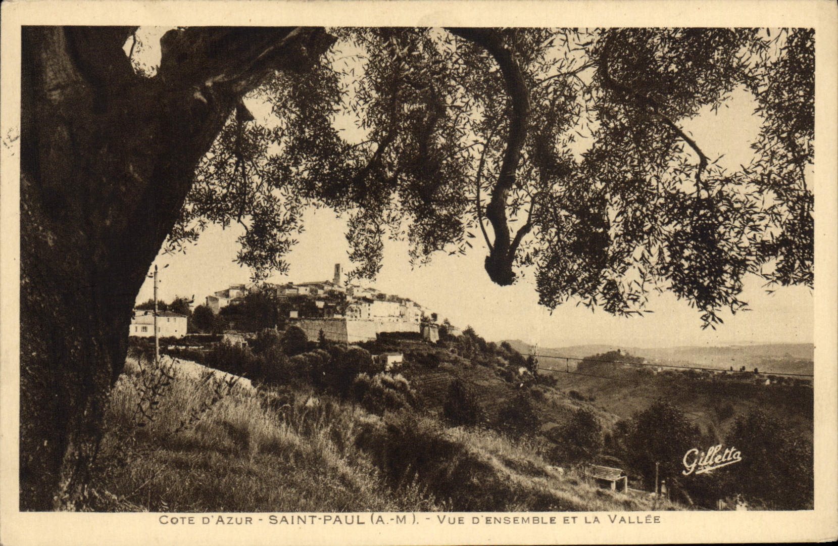 VINTAGE POSTCARD Saint Paul Overall picture and the Valley
