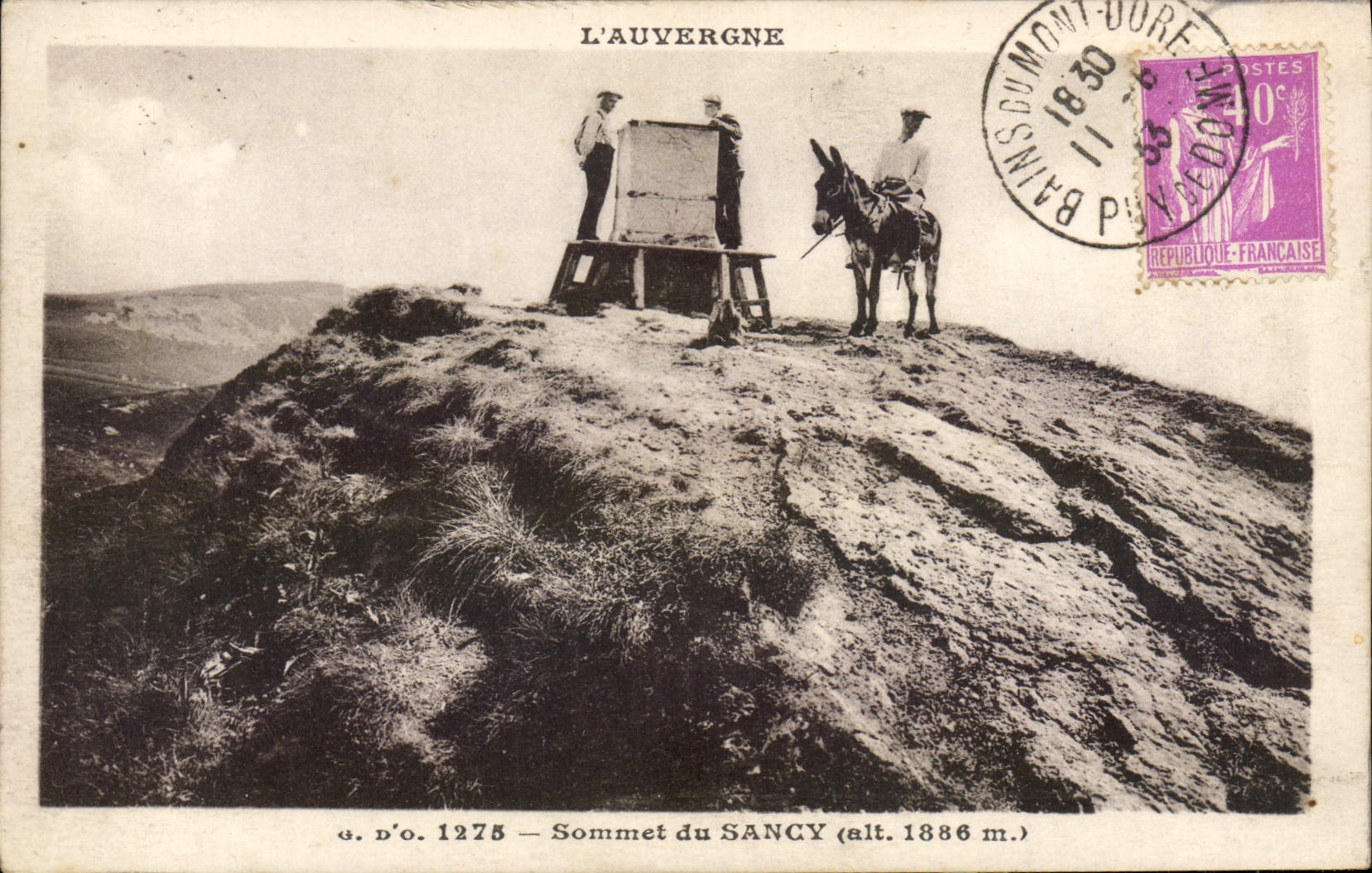 CPA L'Auvergne Sommet du Sancy Ane Mule 