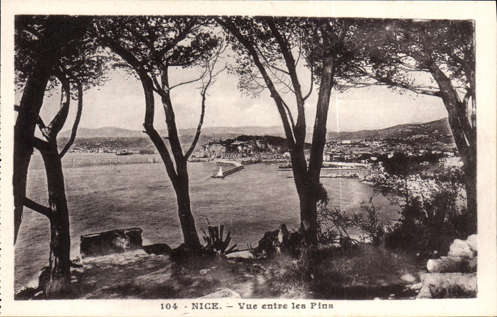 CPA Nice Vue Entre les Pins