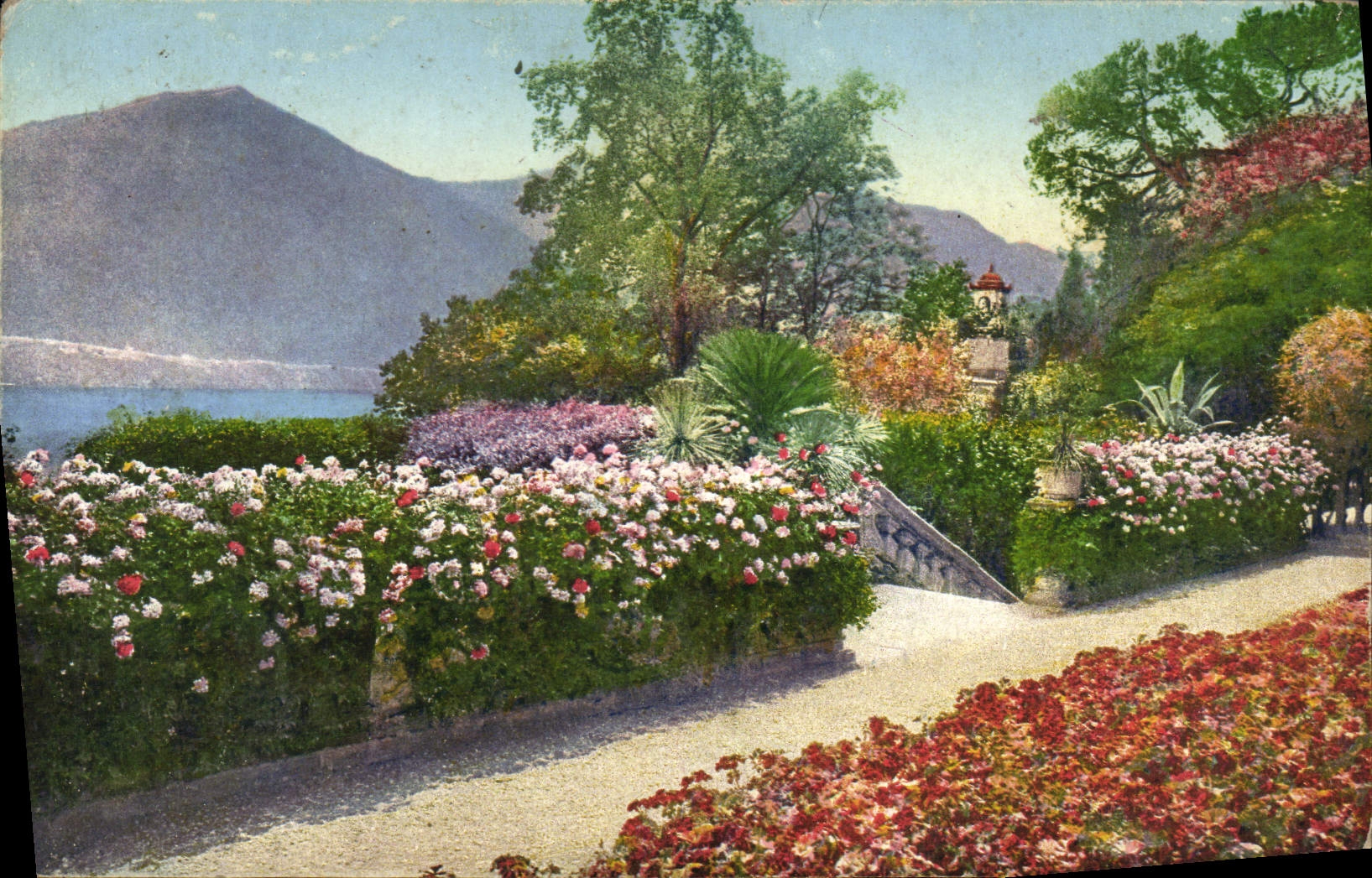 VINTAGE POSTCARD Villa Carlotta Giardino