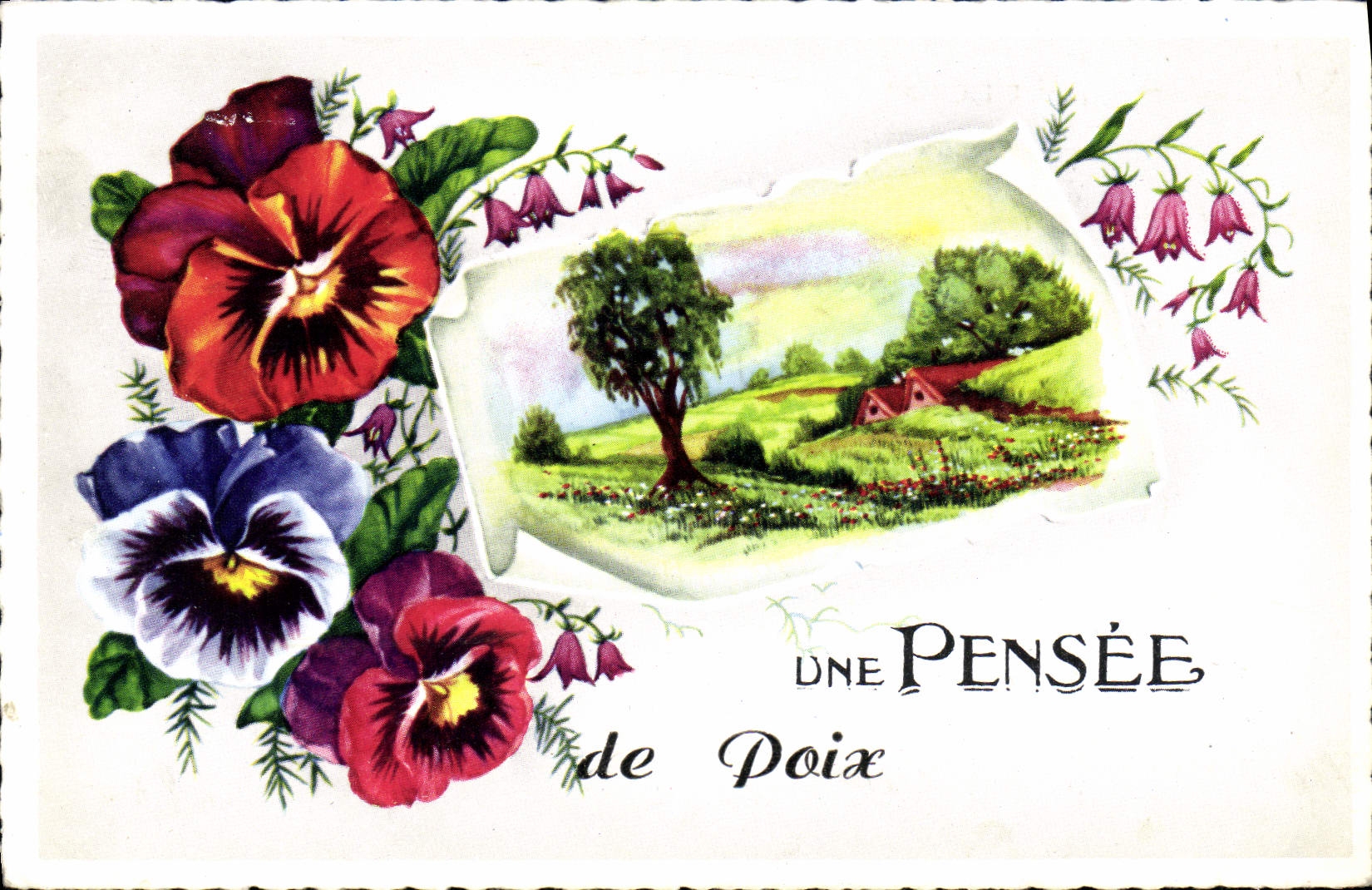 CPM Une Pensee De Poix