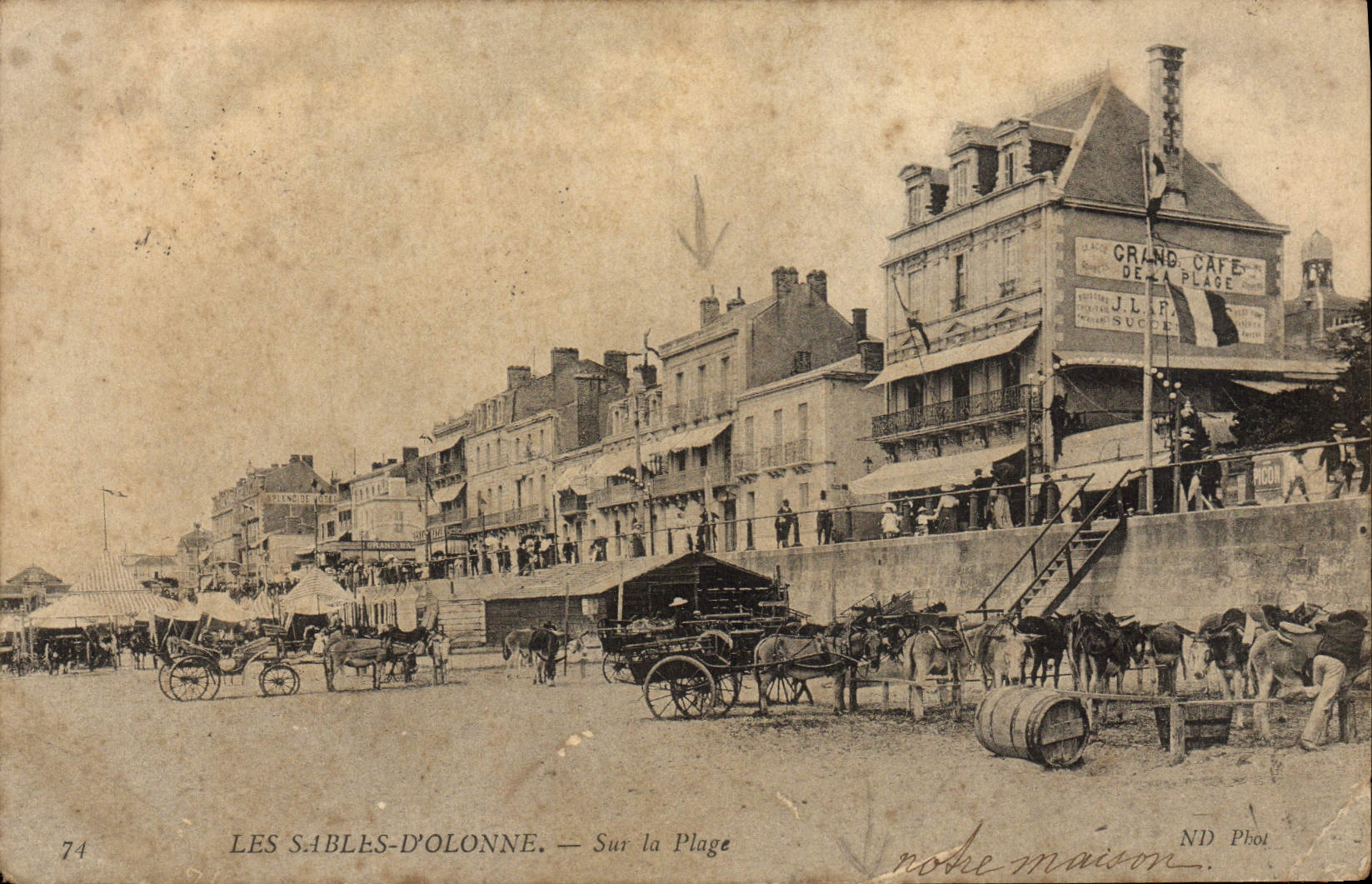 CPA Les Sables Dolonne Sur La Plage anes Mules