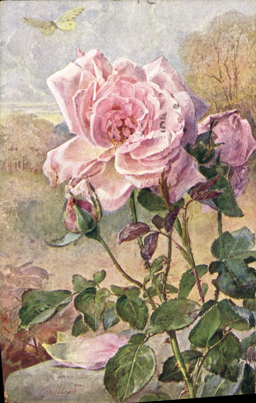 CPA Fantaisie Fleur Rose