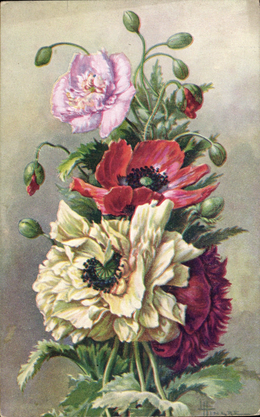 CPA Fantaisie Fleurs