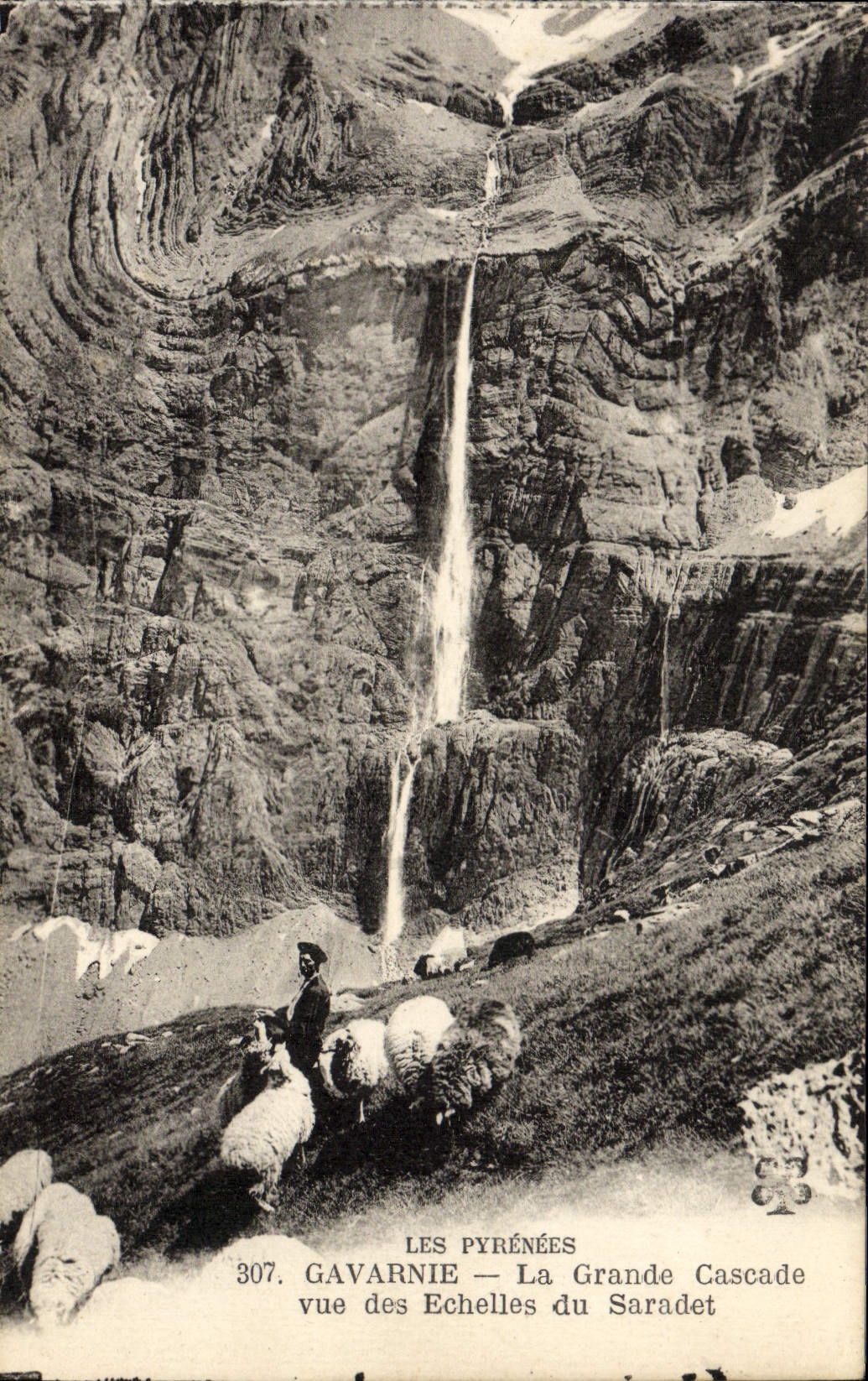 CPA Les Pyrenees Gavarnie La Grande Cascade vue des echelles du Saradet Berger Moutons