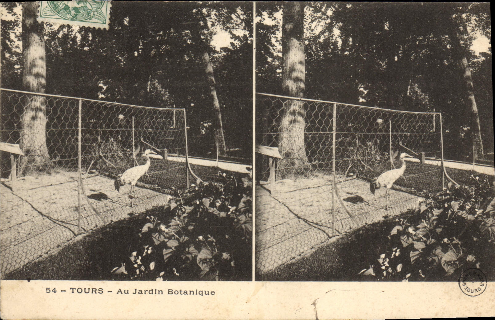 VINTAGE POSTCARD Tours With the Botanical garden Zoo