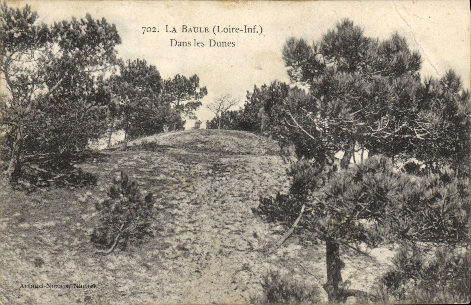 VINTAGE POSTCARD La Baule In the Dunes